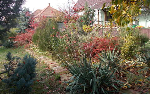 kertek és parkok ősz