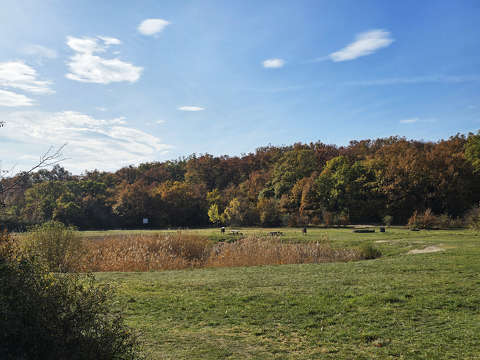 Balatonalmádi, Köcsi-tó, novemberi napsütésben