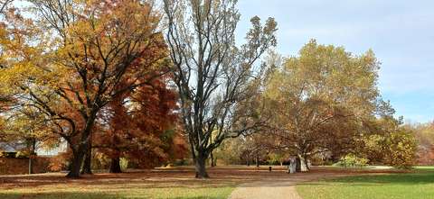 Sárvár, Várkerület, ősz