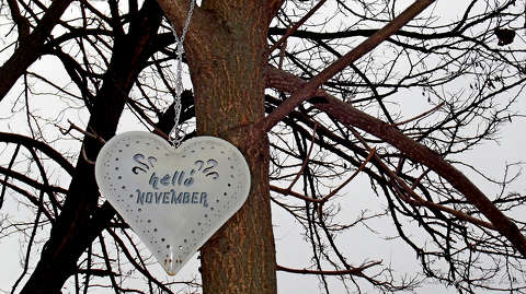 helló november, fotó grafika