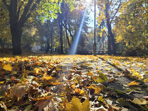 Balatonfűzfő, Doktorkert