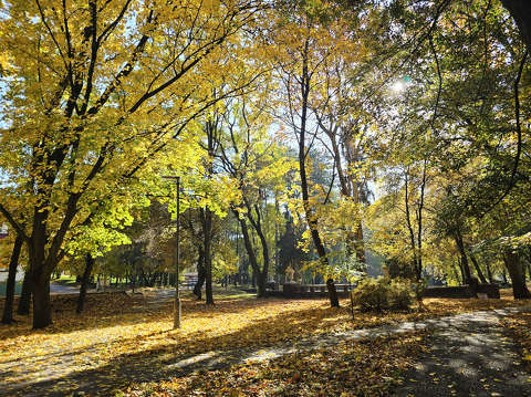 Balatonfűzfő, Doktorkert