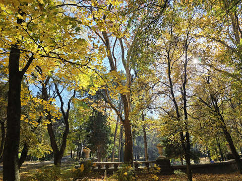 Balatonfűzfő, Doktorkert