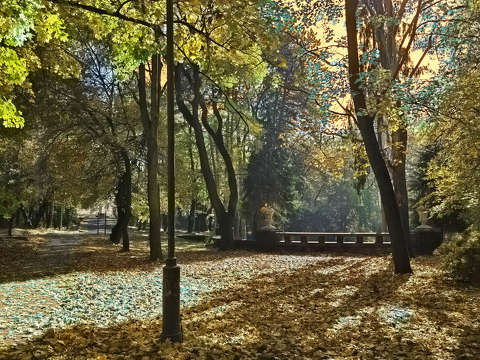 Balatonfűzfő, Doktorkert