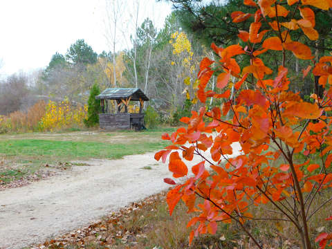 Veszprém, Kádárta, Horgásztó környéke