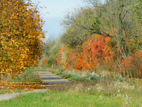 Veszprém környéke, út