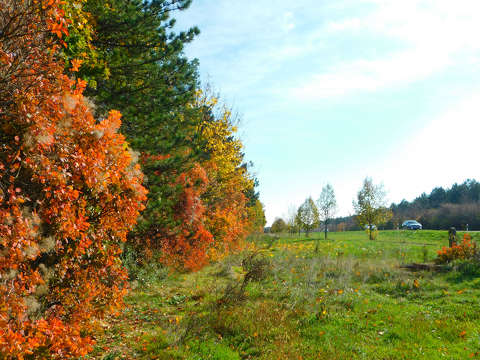 Veszprém környéke, út