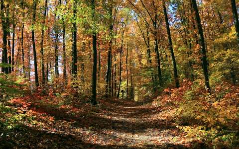 Az ősz összes színei, Somogy megye