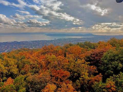 balaton címlapfotó erdő felhő