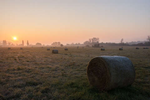 November reggel, Balatonfűzfő