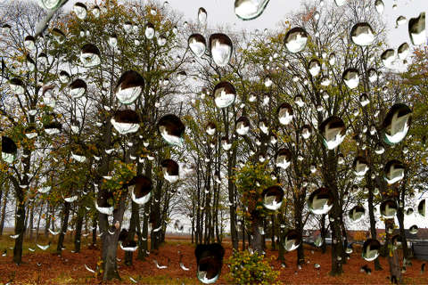 címlapfotó montázs vízcsepp ősz