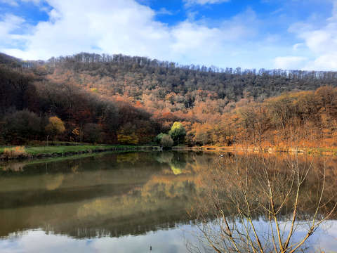 címlapfotó erdő tó tükröződés