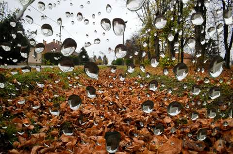 címlapfotó montázs vízcsepp ősz