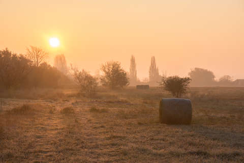 Balatonfűzfő, napfelkelte