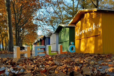 fotó, grafika, ősz