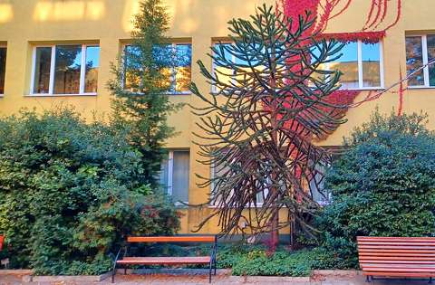 Zugló, botanikai kert részlete