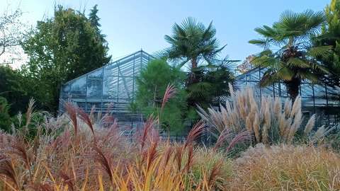 Zugló, botanikai kert részlete