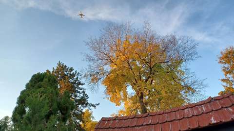 Zugló, Japánkert részlete