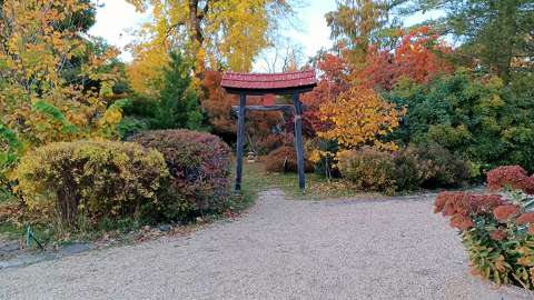 Zugló, Japánkert részlete