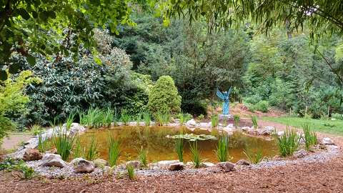 Arborétum, Pannonhalma