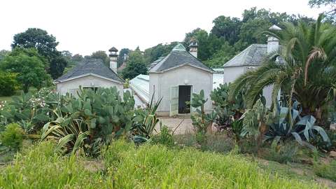 Keszthely, Pálmaház