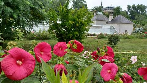 Keszthely, Pálmaház