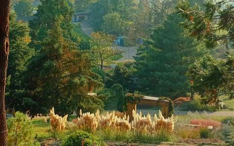 ősz, Folly arborétum, kertek és parkok