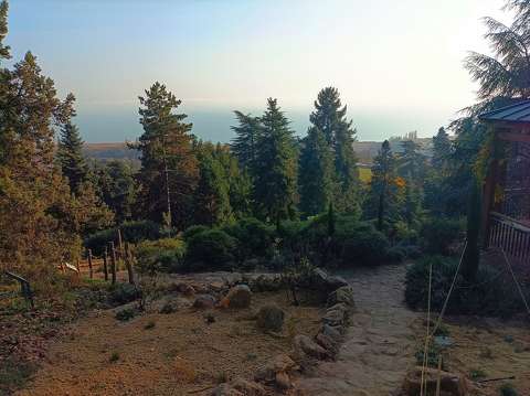 ősz, délután, Folly arborétum, Balaton