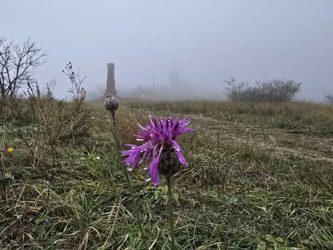 Soós-hegyi kilátó és Soós Lajos emlékmű a ködben - Balatonkenese