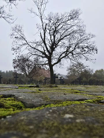 Német katonai temető - Balatonkenese