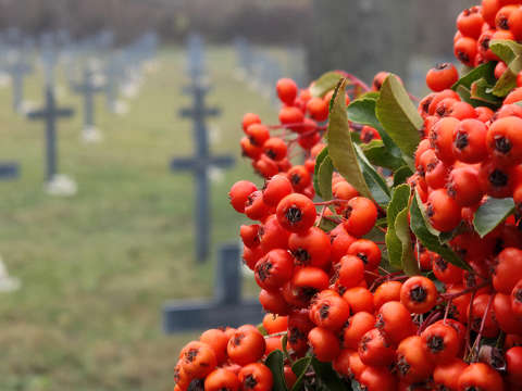 Német katonai temető - Balatonkenese