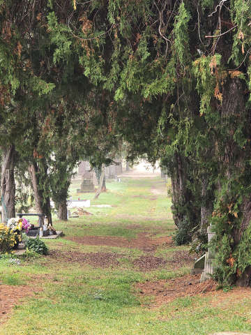 Sírkert - Balatonkenese