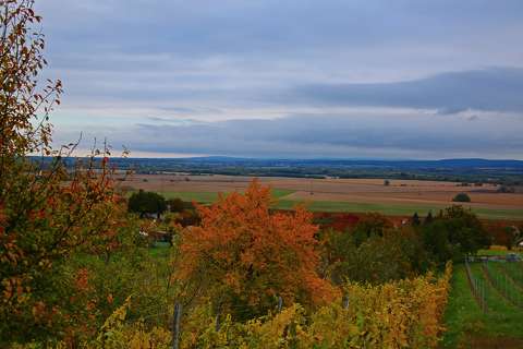 Kilátás a Somló hegyről