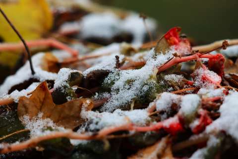 Első novmeberi havas pillanat.