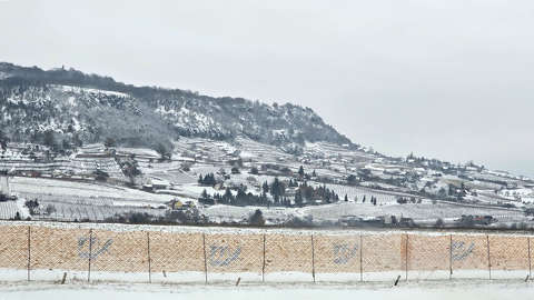 Minden csupa porcukor - Somló-hegy