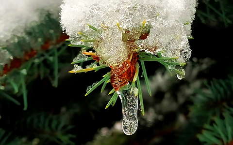 Jégcsap csizma formában