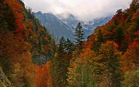 címlapfotó erdő hegy ősz