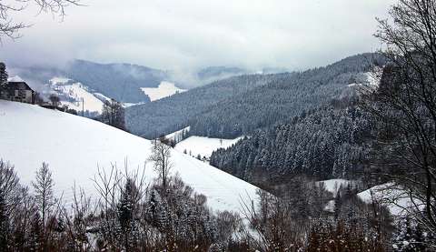 címlapfotó erdő hegy tél