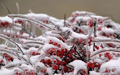 címlapfotó jég tél