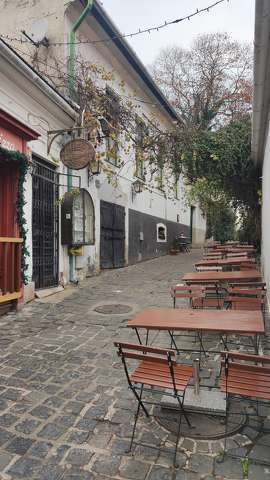 Szentendre, utca, vadszőlő