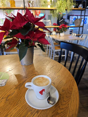Mikulásvirág, dekoráció, kávé