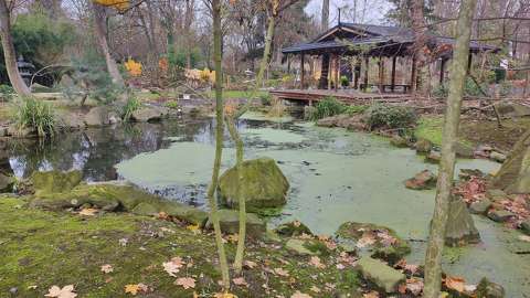 Szentendre, Japánkert, tó, kövek, fa, tél