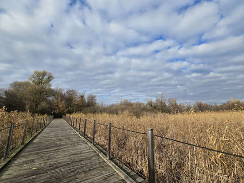 Balatonfűzfő, stég