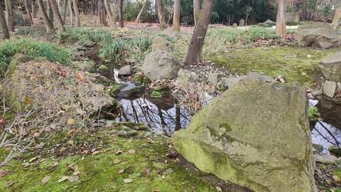 kert, patak, kő, tél