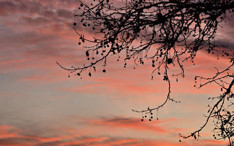 Felhők a naplementében
