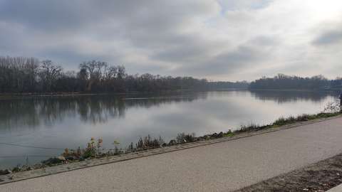 Duna, Duna-part, folyó, erdő, tél