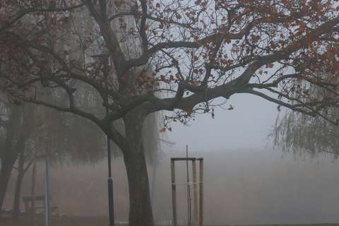 Ködös-párás Balaton part.