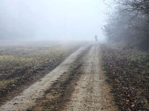 Köd előttem, köd mögöttem, a Gemenci erdőben