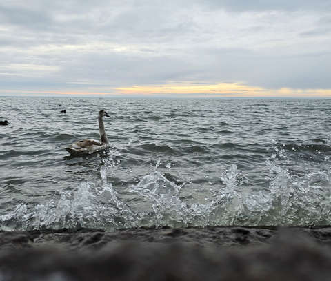 Balatonalmádi 2026.01.01.