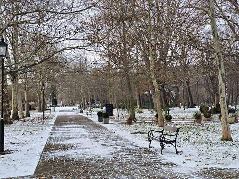 Balatonalmádi, Szent Erzsébet Liget